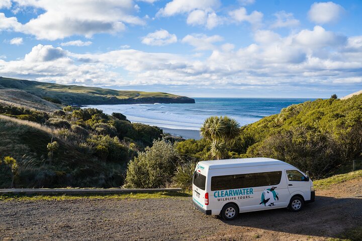Clearwater Wildlife Tours (small group 10max) Otago Peninsula