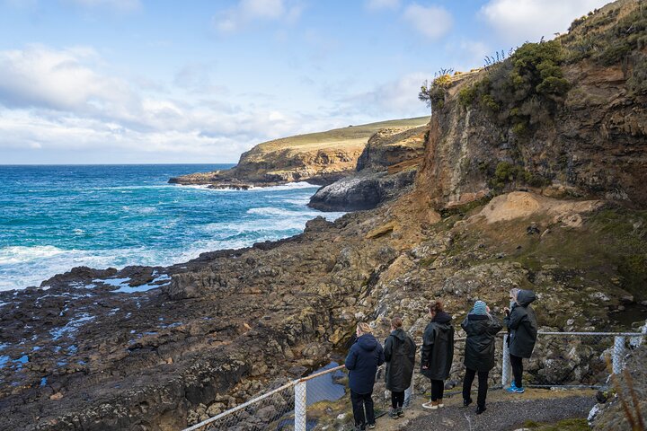 Clearwater Wildlife Tours (small group 10max) Otago Peninsula