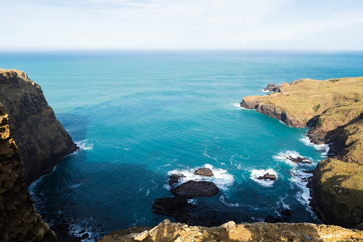 Clearwater Wildlife Tours (small group 10max) Otago Peninsula