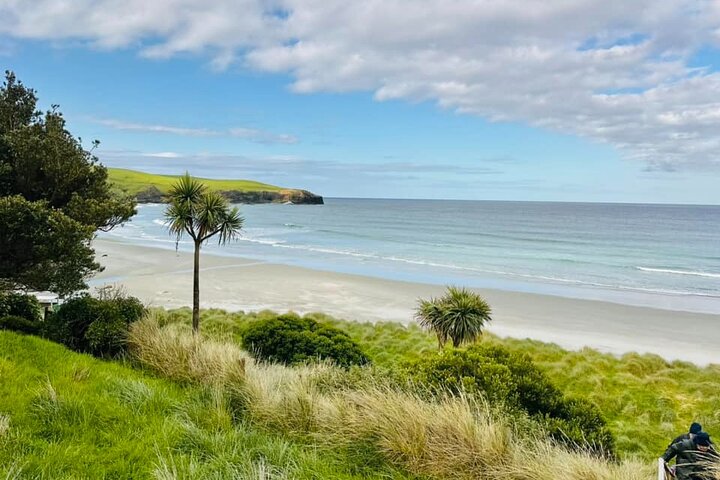 Clearwater Wildlife Tours (small group 10max) Otago Peninsula