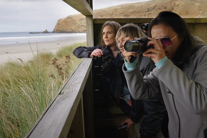 Clearwater Wildlife Tours (small group 10max) Otago Peninsula