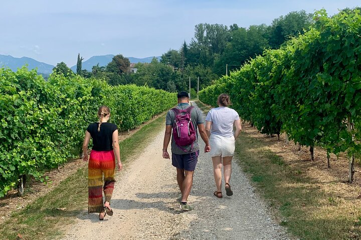 All inclusive Private Prosecco Hills Tour - 2 Wineries and Lunch.