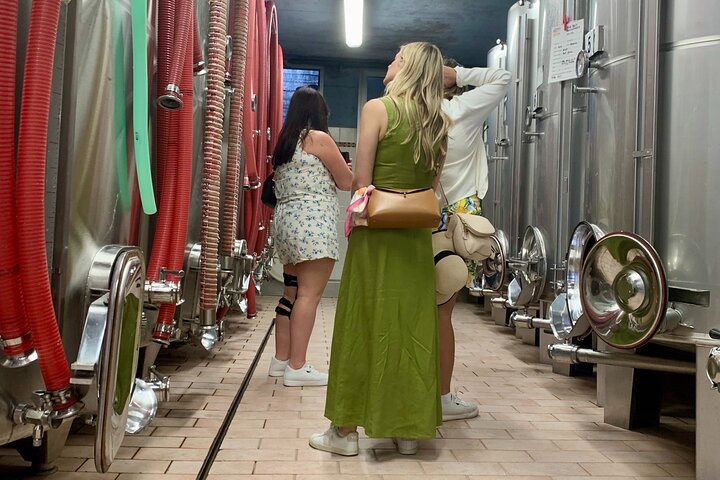 All inclusive Private Prosecco Hills Tour - 2 Wineries and Lunch.