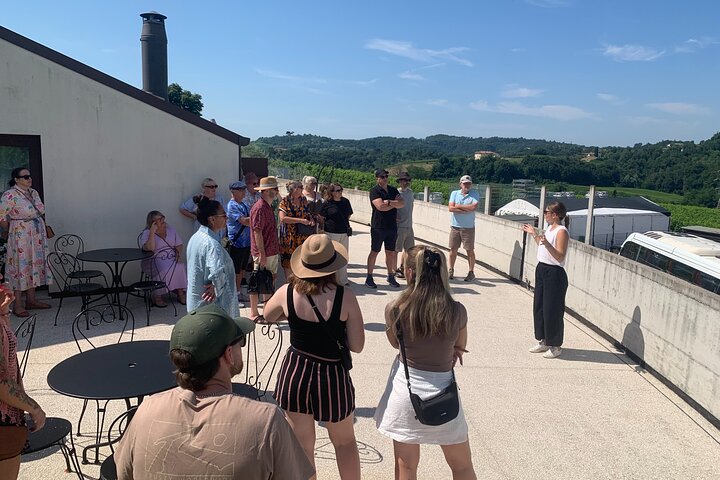 All inclusive Private Prosecco Hills Tour - 2 Wineries and Lunch.