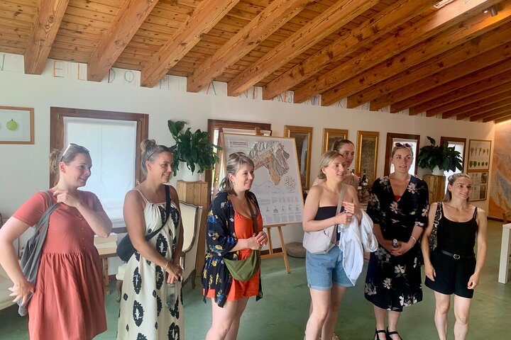 All inclusive Private Prosecco Hills Tour - 2 Wineries and Lunch.