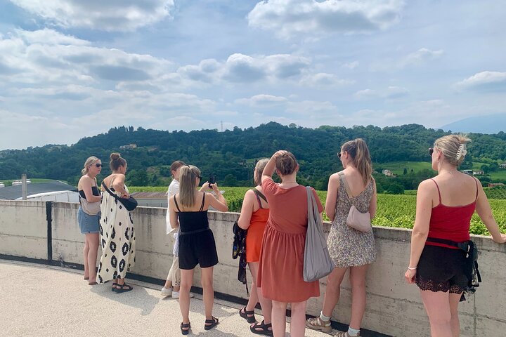 All inclusive Private Prosecco Hills Tour - 2 Wineries and Lunch.