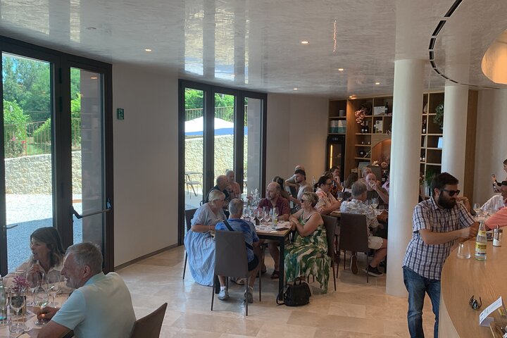 All inclusive Private Prosecco Hills Tour - 2 Wineries and Lunch.