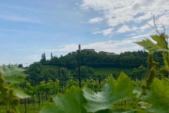 All inclusive Private Prosecco Hills Tour - 2 Wineries and Lunch.