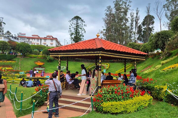 Coimbatore to Ooty Day Trip - Explore A Perfect Hill Station