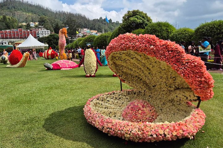 Coimbatore to Ooty Day Trip - Explore A Perfect Hill Station