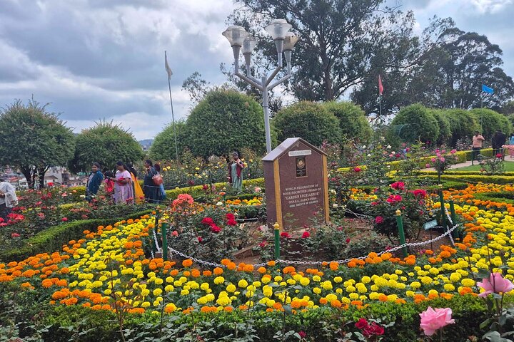 Coimbatore to Ooty Day Trip - Explore A Perfect Hill Station