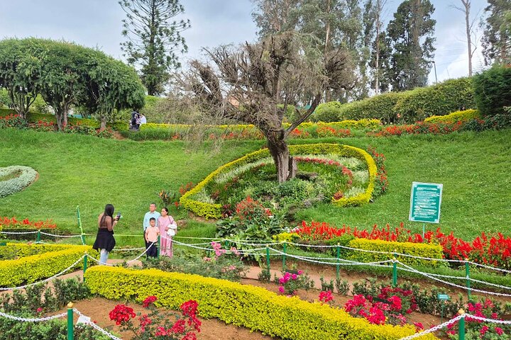 Coimbatore to Ooty Day Trip - Explore A Perfect Hill Station