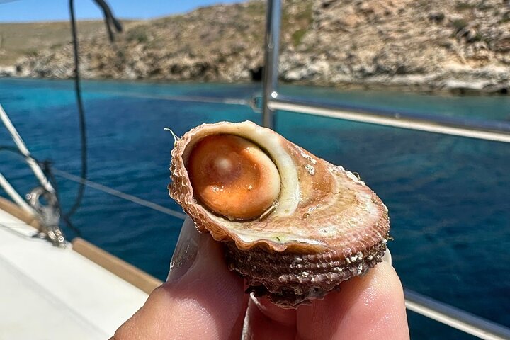 Mykonos Delos Rhenia Daily Cruise with BBQ, Drinks & Transfer