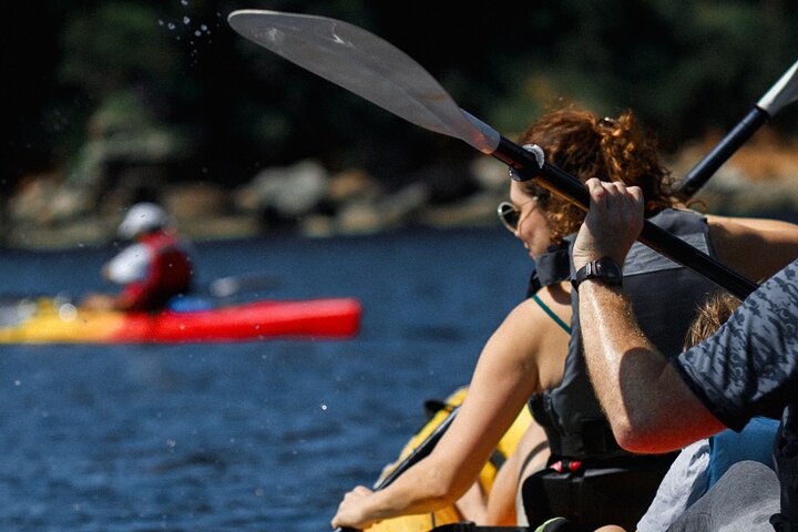 Budva Bay: Kayak & SUP Tour to Coastal Caves