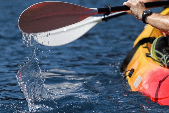 Budva Bay: Kayak & SUP Tour to Coastal Caves