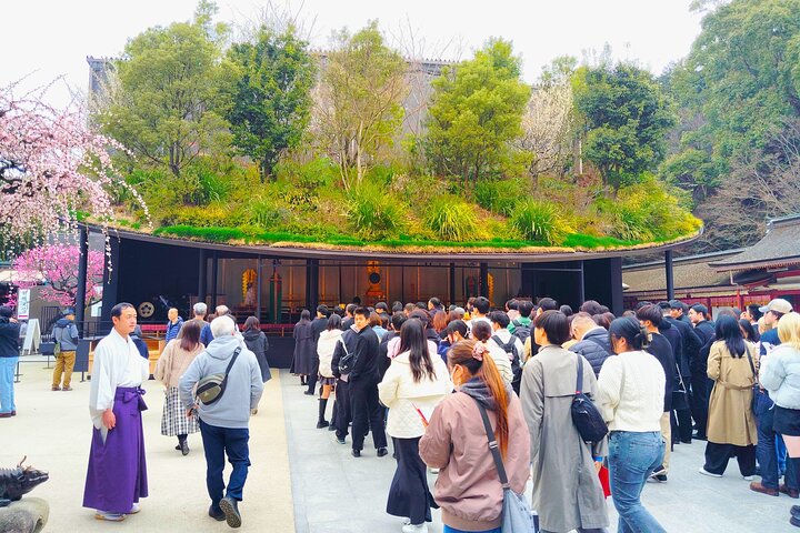 Fukuoka & Hakata Private Custom Tour with Optional Port Pickup