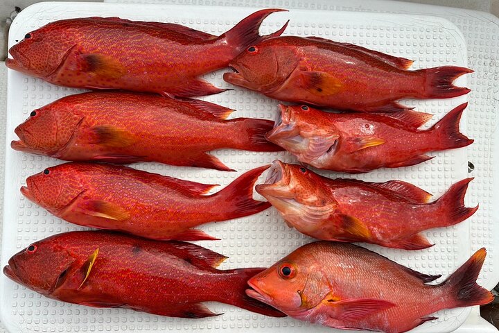 Fishing experience on a private small boat on Ishigaki Island - Meet empty-handed!Fish.Let's eat.~ 【1 day course】