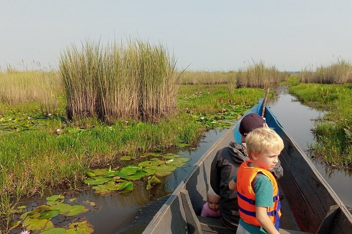Shoebill Stork and Birdwatching Tour at Mabamba swamp