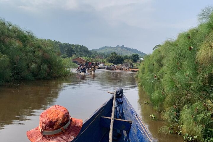 Shoebill Stork and Birdwatching Tour at Mabamba swamp
