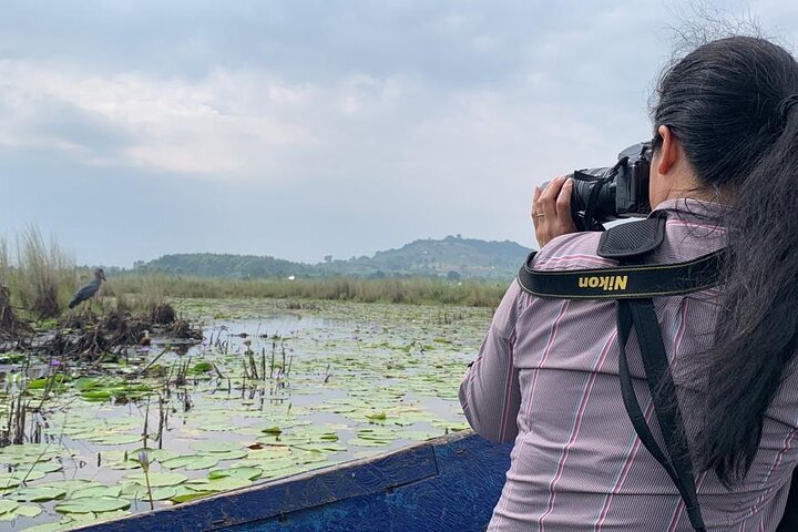 Shoebill Stork and Birdwatching Tour at Mabamba swamp