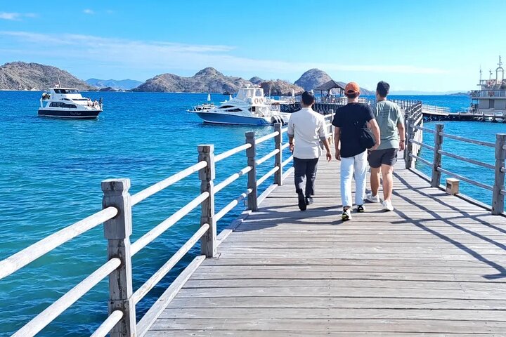 Small Group Komodo Fast Boat Tour with Padar Island & Pink Beach