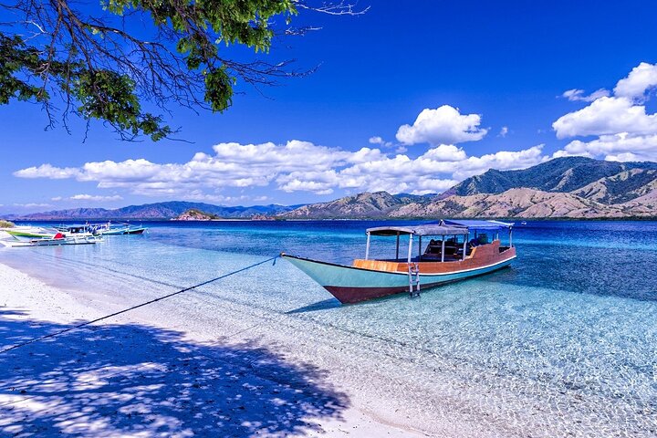Small Group Komodo Fast Boat Tour with Padar Island & Pink Beach