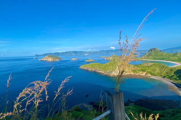 Small Group Komodo Fast Boat Tour with Padar Island & Pink Beach