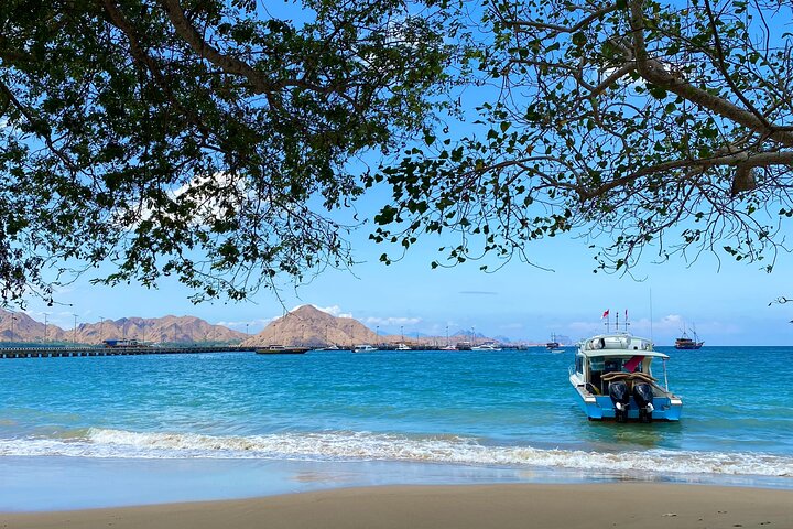 Small Group Komodo Fast Boat Tour with Padar Island & Pink Beach