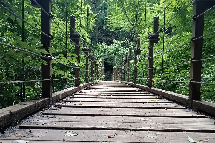 Tokyo: Mt. Takao Tour with Ramen and Tattoo-Okay Hot Spring