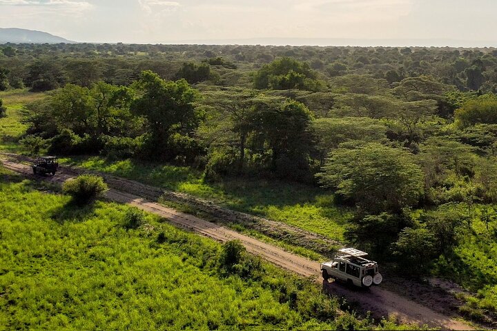 Day Trip Safari in Akagera Park with hotel pickup and lunch