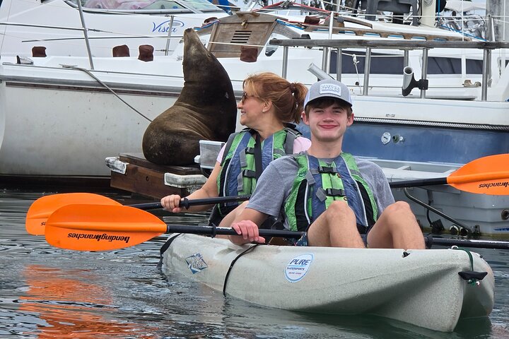 Dana Point Kayak and Hike to sea cave with Sea Lion Sightings