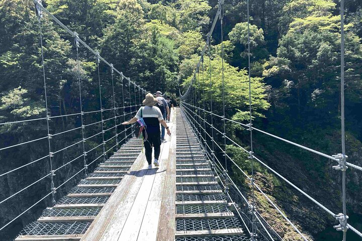 Kumano Kodo Pilgrimage in 1 Day by Car with Licensed Guide