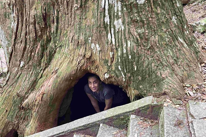 Kumano Kodo Pilgrimage in 1 Day by Car with Licensed Guide