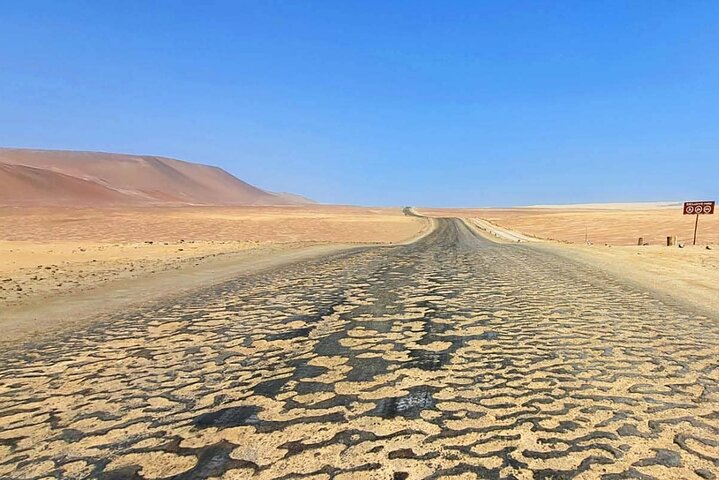 Paracas Reserve from PISCO CRUISE SHIP TERMINAL