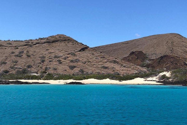 Galapagos & Machu Picchu from MANTA PORT CRUISE SHIP TERMINAL