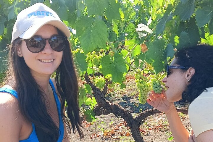Etna Jeep OffRoad Tour: Lava Flows,Etna Wines,Lunch at 6,561 ft