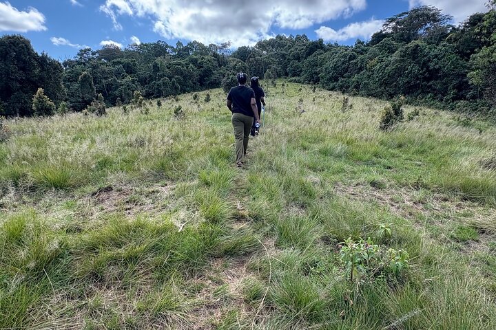 2 Day Private Tour to Waterfalls and Chimpanzee Trekking