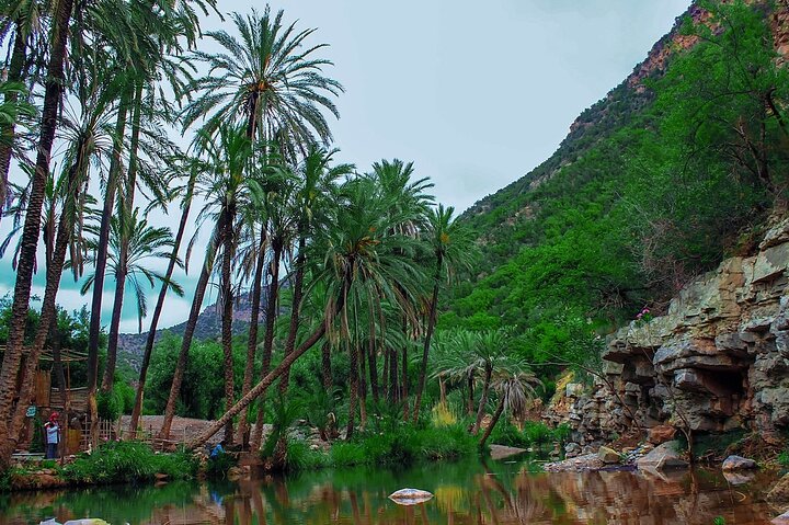 Private Guided Tour to the Paradise Valley and Taghazout village