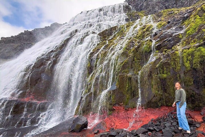 Isafjordur and Westfjords Private Tour