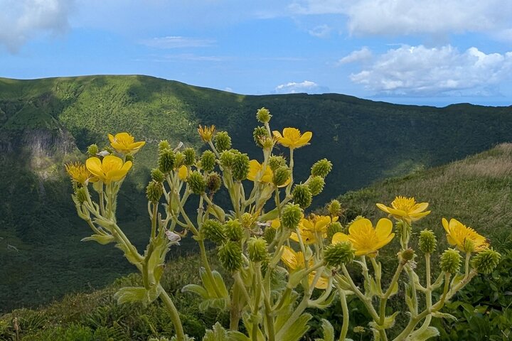 Customizable Full Day Private Tour of Faial