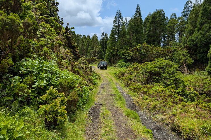 Customizable Full Day Private Tour of Faial