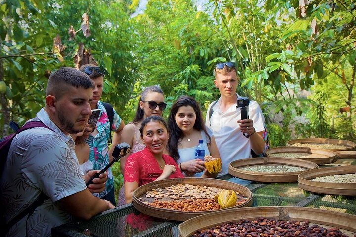 Discover The Best of Ubud: All-Inclusive and Private Guided Tour