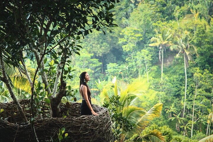 Discover The Best of Ubud: All-Inclusive and Private Guided Tour