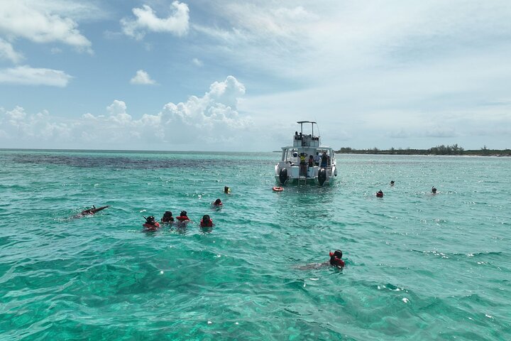 Rose Island Swimming Pigs & Beach Snorkeling Experience Nassau.