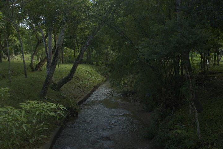 My Son Sanctuary Private Tour - Early Morning or Half Day Tour