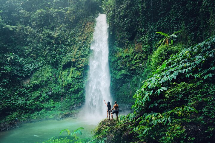 Ubud Private Tour: Waterfalls, Temple and Rice Terraces Swing