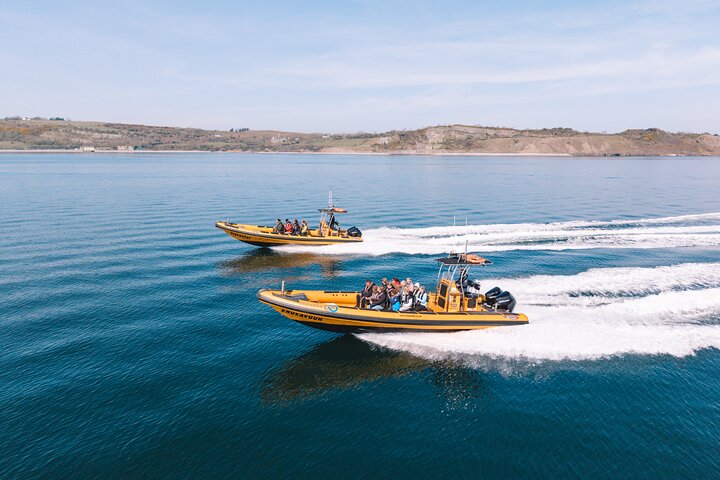 Anglesey Wildlife Boat Trips to Puffin Island