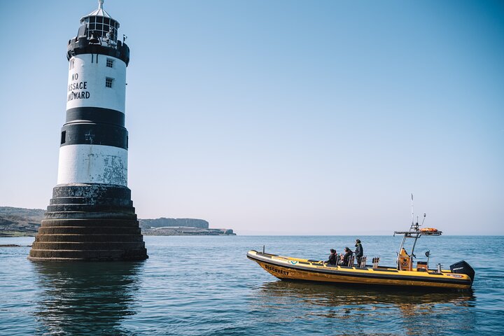 Anglesey Wildlife Boat Trips to Puffin Island
