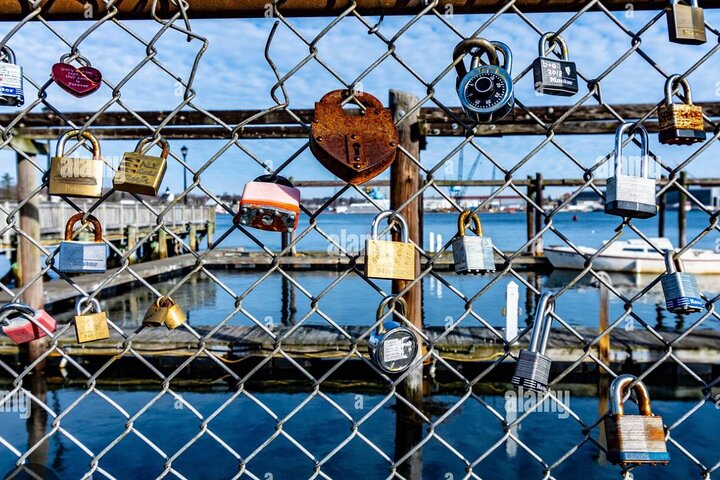 Islands & Harbor Bike Tour-Sightseeing + Exploring Must-See Sites