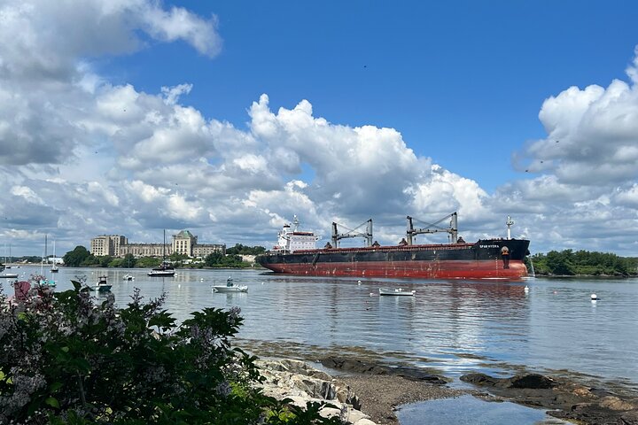 Islands & Harbor Bike Tour-Sightseeing + Exploring Must-See Sites